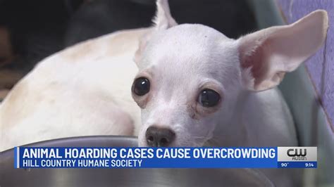 Animal hoarding cases cause struggles for Hill Country Humane Society